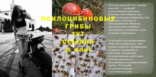 mdpv Михайловск