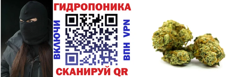 Шишки марихуана OG Kush  Макушино 